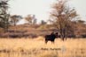 2010-11-06_Namibia_18-44-56_000438_A52D0756.jpg