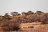 2010-11-06_Namibia_18-49-56_000472_A52D0790.jpg