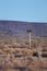 2010-11-07_Namibia_18-57-40_000154_A52D4021.jpg
