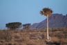 2010-11-07_Namibia_18-57-56_000156_A52D4023.jpg
