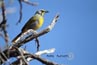 2010-11-08_Namibia_16-25-22_000222_A52D4298.jpg