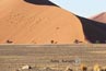 2010-11-10_Namibia_07-30-16_000146_A52D5167.jpg