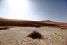 2010-11-10_Namibia_08-34-48_000079_IMG_4139.jpg