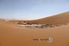 2010-11-10_Namibia_09-32-56_000115_IMG_4175.jpg