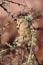 2010-11-14_Namibia_17-01-36_000259_A52D8082.jpg