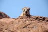 2010-11-14_Namibia_17-09-10_000331_A52D8118.jpg