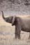 2010-11-15_Namibia_16-56-22_000230_IMG_5210.jpg