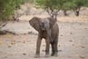 2010-11-15_Namibia_17-20-36_000209_A52D8811.jpg