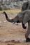 2010-11-16_Namibia_16-58-52_000039_A52D9162_Kopie.jpg