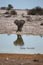 2010-11-16_Namibia_17-10-38_000144_A52D9274.jpg