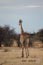 2010-11-16_Namibia_18-25-58_000291_A52D9421_Kopie.jpg