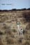 2010-11-17_Namibia_07-35-04_000030_IMG_5892_Kopie.jpg