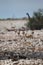 2010-11-17_Namibia_10-32-14_000310_A52D9825.jpg