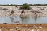2010-11-17_Namibia_11-12-34_000448_A52D9970.jpg