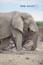 2010-11-17_Namibia_17-24-54_000272_IMG_6090_Kopie.jpg