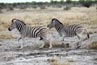 2010-11-19_Namibia_08-19-24_000122_A52D0893.jpg