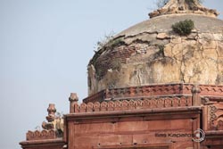 IMG_2815india1.JPG