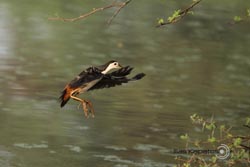 IMG_3082india2.JPG