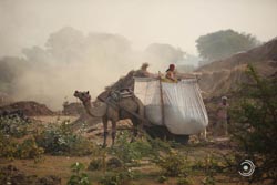 IMG_3363india2.JPG