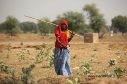 IMG_3453india2.JPG