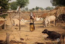 IMG_3580india2.JPG