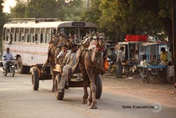 IMG_3676india2.JPG