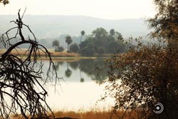 IMG_4025india3.JPG