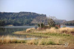 IMG_4176india3.JPG