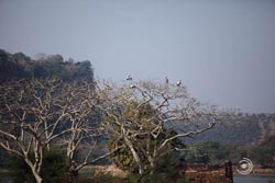 IMG_4182india3.JPG