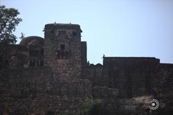 IMG_4205india3.JPG