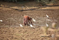 IMG_4265india3.JPG