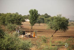 IMG_4453india3.JPG