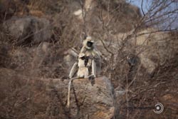 IMG_5713india2.JPG