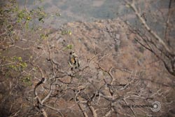 IMG_5716india2.JPG