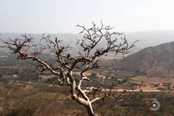 IMG_5732india1.JPG