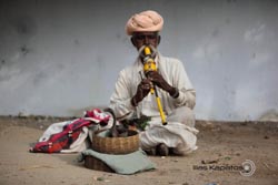 IMG_5906india2.JPG