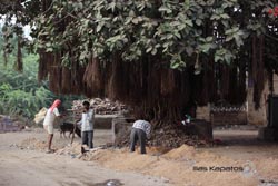 IMG_5932india2.JPG