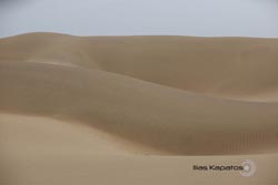 IMG_6623india4.JPG