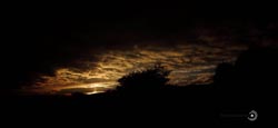 IMG_6682india4.JPG