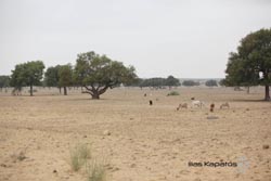 IMG_6973india4.JPG