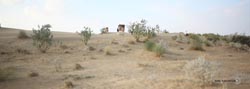 IMG_7057india4.JPG
