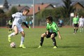 MK4_1477JM_Solot_2015_1200.JPG