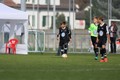 SOL_7102JM_Solot_2015_1200.JPG